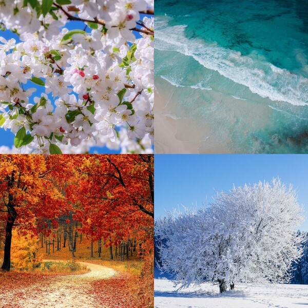 Where Has Autumn Disappeared to?
